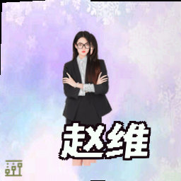 赵维